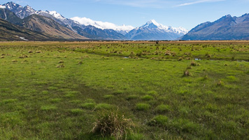 Olympus-PEN-EP3_31456.jpg Olympus-PEN-EP3_31456.jpg