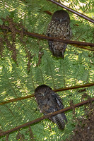 5D-Mark-IV_AS_190122_1438.jpg 5D-Mark-IV_AS_190122_1438.jpg