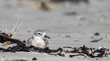 5D-Mark-IV_AS_190123_1737.jpg 5D-Mark-IV_AS_190123_1737.jpg