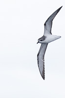 5D-Mark-IV_AS_190124_2027.jpg 5D-Mark-IV_AS_190124_2027.jpg