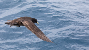 5D-Mark-IV_AS_190124_2142.jpg 5D-Mark-IV_AS_190124_2142.jpg