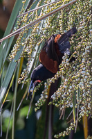 5D-Mark-IV_AS_190125_2589.jpg 5D-Mark-IV_AS_190125_2589.jpg