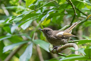 5D-Mark-IV_AS_190125_2629.jpg 5D-Mark-IV_AS_190125_2629.jpg