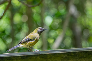 5D-Mark-IV_AS_190125_2648.jpg 5D-Mark-IV_AS_190125_2648.jpg