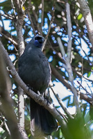 5D-Mark-IV_AS_190126_2855.jpg 5D-Mark-IV_AS_190126_2855.jpg