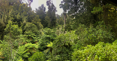 6s_AS_190121_2008.jpg 6s_AS_190121_2008.jpg