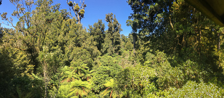 6s_AS_190122_4373.jpg 6s_AS_190122_4373.jpg