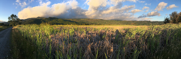 6s_AS_190123_4376.jpg 6s_AS_190123_4376.jpg