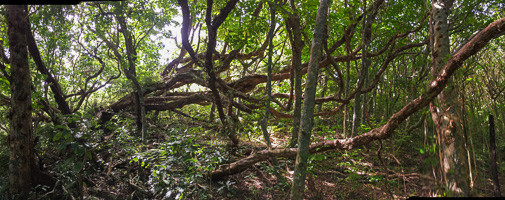 6s_AS_190125_4384.jpg 6s_AS_190125_4384.jpg