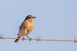 Cape Town area & West Coast 5D-Mark-IV_AS_190926_6592.jpg