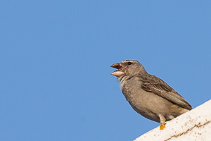 Cape Town area & West Coast 5D-Mark-IV_AS_190927_7174.jpg