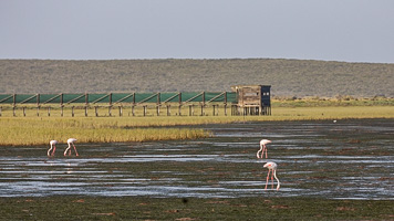 Cape Town area & West Coast 5D-Mark-IV_AS_190927_7265.jpg