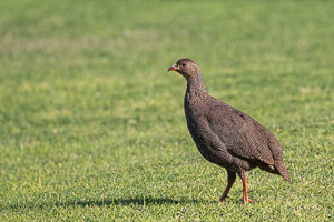 Cape Town area & West Coast 5D-Mark-IV_AS_190927_7330.jpg