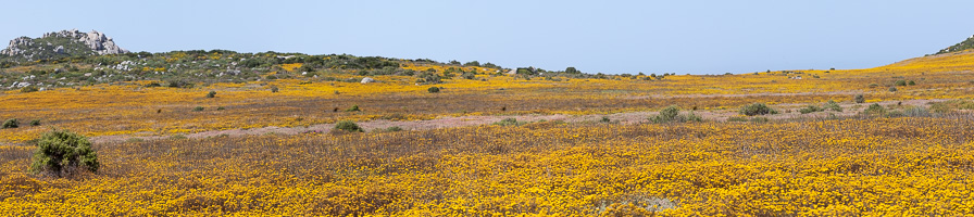 Cape Town area & West Coast 5D-Mark-IV_AS_190927_7465-Pano.jpg