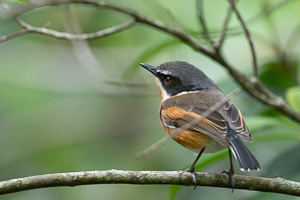 Cape Town area & West Coast 5D-Mark-IV_AS_190928_7644.jpg