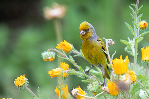 Cape Town area & West Coast 5D-Mark-IV_AS_190928_7686.jpg