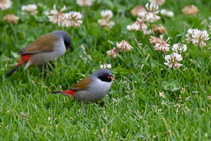 Cape Town area & West Coast 5D-Mark-IV_AS_190928_7751.jpg