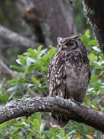 Cape Town area & West Coast 5D-Mark-IV_AS_190928_7815.jpg