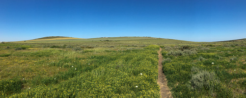 Cape Town area & West Coast 6s_AS_190926_5518.jpg