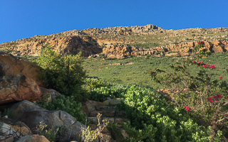 Cape Town area & West Coast 6s_AS_191001_5563.jpg