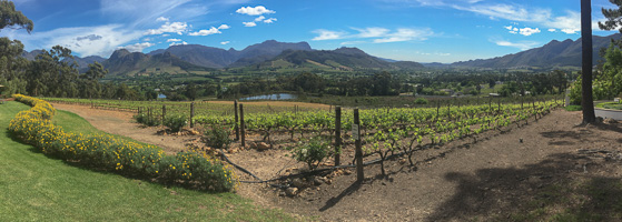 Cape Town area & West Coast iPhone_6s_AS_191001_5604.jpg