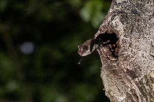 R5_AS_210901_3645.jpg R5_AS_210901_3645.jpg