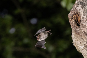 R5_AS_210901_3646.jpg R5_AS_210901_3646.jpg