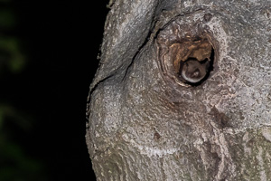 R5_AS_210901_3649.jpg R5_AS_210901_3649.jpg