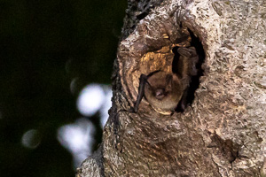 R5_AS_210902_3751.jpg R5_AS_210902_3751.jpg