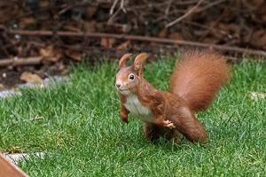 R5_AS_210116_5296-Bearbeitet-2.jpg R5_AS_210116_5296-Bearbeitet-2.jpg