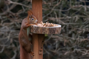 R5_AS_210116_5310.jpg R5_AS_210116_5310.jpg