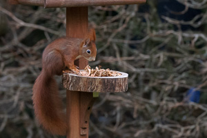 R5_AS_210116_5315.jpg R5_AS_210116_5315.jpg