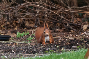 R5_AS_210117_5588.jpg R5_AS_210117_5588.jpg