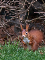 R5_AS_210117_6052.jpg R5_AS_210117_6052.jpg