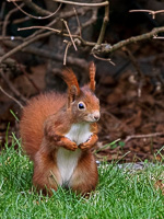 R5_AS_210117_6053.jpg R5_AS_210117_6053.jpg