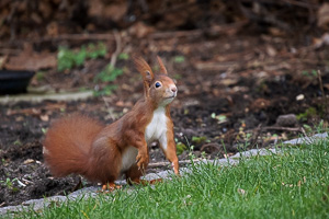 R5_AS_210117_6163.jpg R5_AS_210117_6163.jpg