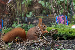 R5_AS_210118_6426.jpg R5_AS_210118_6426.jpg