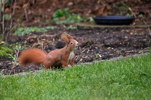 R5_AS_210118_6466-Bearbeitet.jpg R5_AS_210118_6466-Bearbeitet.jpg