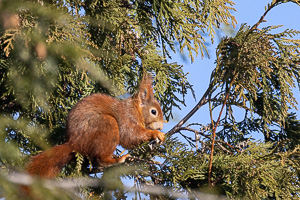 R5_AS_210125_0930.jpg R5_AS_210125_0930.jpg